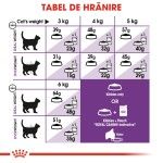 Royal Canin Sensible Adult hrana uscata pisica, digestie optima, 10 kg 