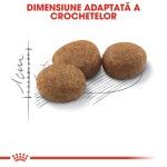 Royal Canin Sterilised Adult hrana uscata pisica sterilizata, 400 g 