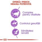 Royal Canin Sterilised 7+ hrana uscata pisica sterilizata, 10 kg 