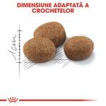 Royal Canin Sterilised 7+ hrana uscata pisica sterilizata, 10 kg 
