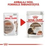 Royal Canin Feline Ageing +12, 12 x 85 g - nou