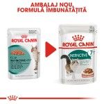 Royal Canin Feline Instinctive 7+, 12 x 85 g - nou