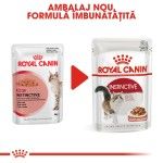 Royal Canin Instinctive Gravy, 1 plic x 85 g - nou