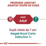 Royal Canin Instinctive Jelly, 12 x 85 g - varsta