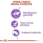Royal Canin Sterilised Adult hrana umeda pisica sterilizata (in sos), 85 g