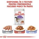 Royal Canin Sterilised Adult hrana umeda pisica sterilizata (in sos), 85 g