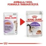 Royal Canin Feline Sterilised Gravy, 1 plic x 85 g - nou