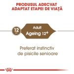 Royal Canin Ageing 12+ hrana umeda pisica senior (in sos), 12 x 85 g 