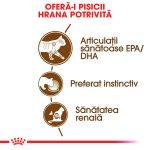 Royal Canin Ageing 12+ hrana umeda pisica senior (in sos), 12 x 85 g 
