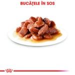 Royal Canin Ageing 12+ hrana umeda pisica senior (in sos), 12 x 85 g 