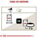Royal Canin Ageing 12+ hrana umeda pisica senior (in sos), 12 x 85 g 