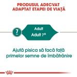 Royal Canin Instinctive 7+ hrana umeda pisica (in sos), 85 g