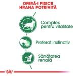 Royal Canin Instinctive 7+ hrana umeda pisica (in sos), 85 g