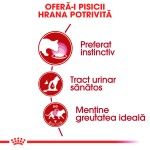 Royal Canin Instinctive Adult hrana umeda pisica (aspic), 12 x 85 g