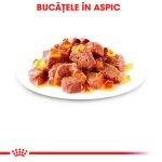 Royal Canin Instinctive Adult hrana umeda pisica (aspic), 12 x 85 g