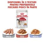 Royal Canin Instinctive Adult hrana umeda pisica (aspic), 12 x 85 g