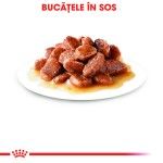 Royal Canin Instinctive Adult hrana umeda pisica (in sos), 12 x 85 g