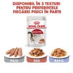 Royal Canin Instinctive Adult hrana umeda pisica (in sos), 12 x 85 g