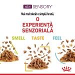 Royal Canin Sensory Taste, hrana umeda pisici, stimularea gustului (in sos), 12 x 85 g