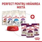Royal Canin Sensory Taste, hrana umeda pisici, stimularea gustului (in sos), 12 x 85 g