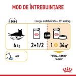 Royal Canin Sensory Taste, hrana umeda pisici, stimularea gustului (in sos), 12 x 85 g