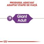 Royal Canin Giant Adult, 15 kg - talie