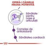 Royal Canin Giant Adult, 4 kg - beneficii
