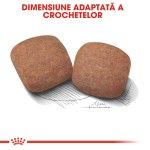 Royal Canin Giant Adult, 4 kg - crocheta