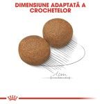 Royal Canin Maxi Adult - crocheta