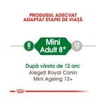 Royal Canin Mini Adult (+8)