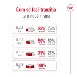 Royal Canin Maxi Adult hrana uscata caine, 15 kg