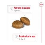 Royal Canin Maxi Adult hrana uscata caine, 4 kg