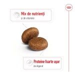 Royal Canin Maxi Adult 5+ hrana uscata caine, 15 kg