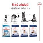 Royal Canin Maxi Adult 5+ hrana uscata caine, 15 kg