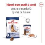Royal Canin Maxi Adult 5+ hrana uscata caine, 15 kg