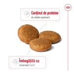 Royal Canin Medium Adult hrana uscata caine, 3 kg