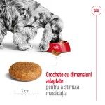 Royal Canin Medium Adult hrana uscata caine, 12 kg