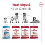 Royal Canin Medium Adult 7+ hrana uscata caine, 15 kg