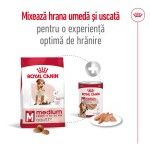 Royal Canin Medium Adult 7+ hrana uscata caine, 15 kg