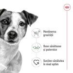 Royal Canin Mini Adult hrana uscata caine, 2 kg