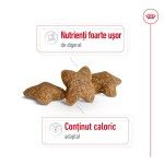 Royal Canin Mini Adult hrana uscata caine, 2 kg