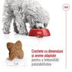 Royal Canin Mini Adult hrana uscata caine, 4 kg 