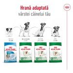 Royal Canin Mini Adult hrana uscata caine, 2 kg