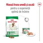 Royal Canin Mini Adult hrana uscata caine, 2 kg