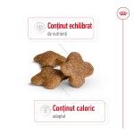 Royal Canin Mini Adult 8+ hrana uscata caine, 8 kg