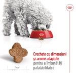 Royal Canin Mini Adult 8+ hrana uscata caine, 8 kg
