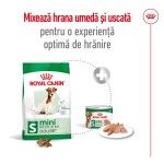 Royal Canin Mini Adult 8+ hrana uscata caine, 8 kg