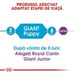Royal Canin Puppy Giant - talei