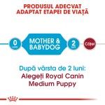 Royal Canin Starter Mother & Babydog Medium - talie