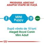 Royal Canin Puppy Mini - talie